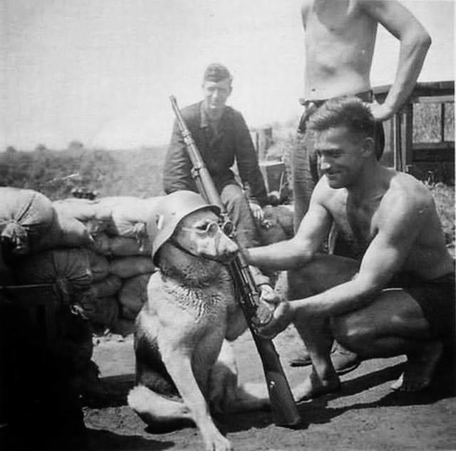 German Soldier Poses His Dog for a Photo, 1940