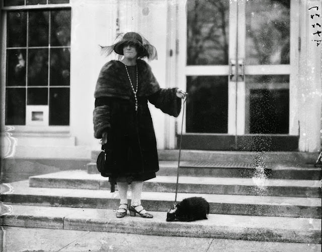 Woman and Her Pet Skunk Visit the White House, 1922