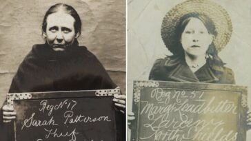 Edwardian Women Mugshots 1900s