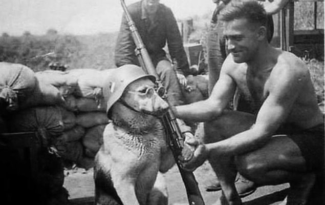 Weird Historical Photos