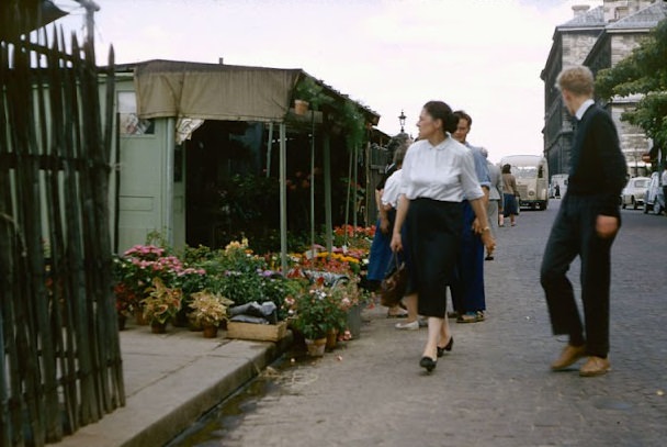 Flower stall, Paris, July 1958.