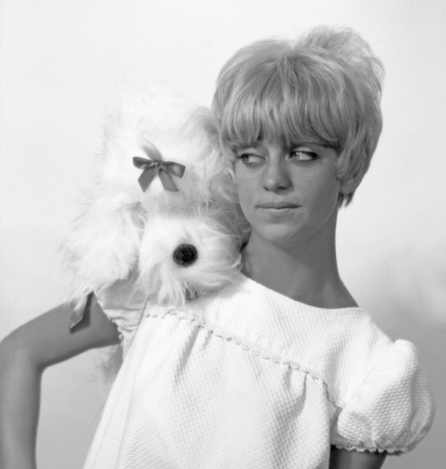 Goldie Hawn and Her Signature Short Hairstyle in the Swinging Sixties