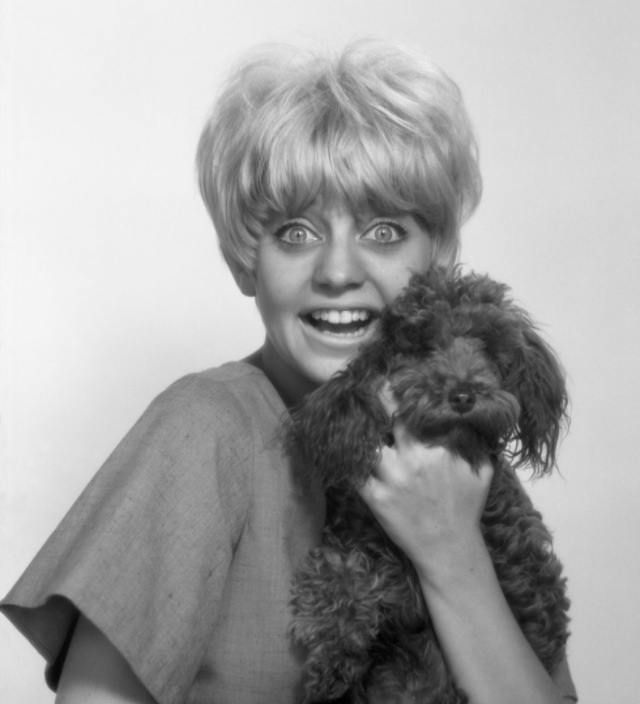 Goldie Hawn and Her Signature Short Hairstyle in the Swinging Sixties