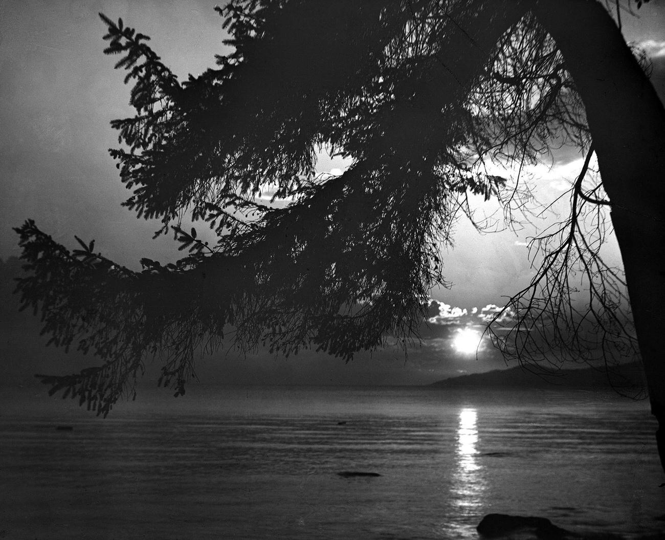 Sunset over English Bay from Stanley Park, Vancouver, 1912.