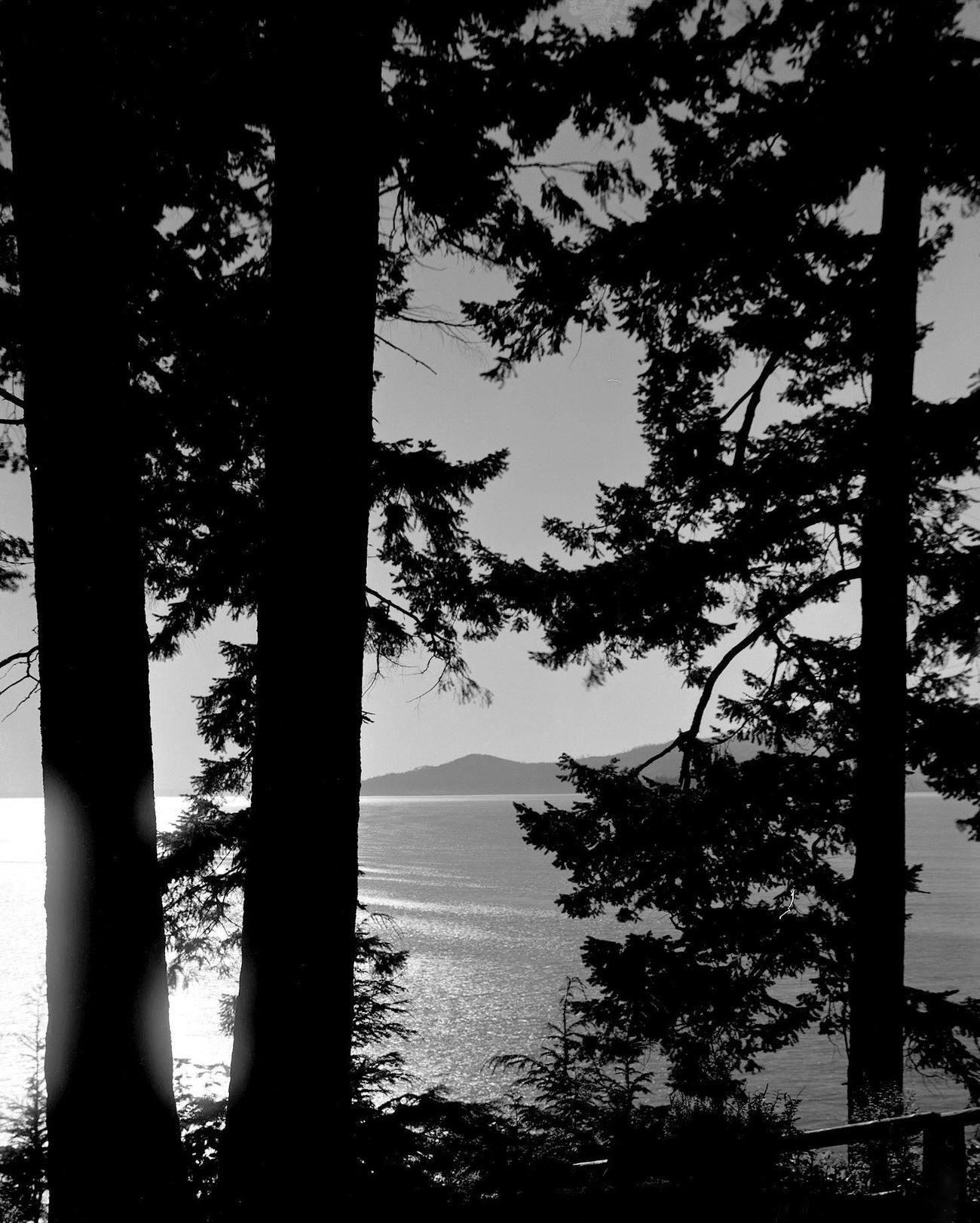 View across English Bay to Point Atkinson, Stanley Park, Vancouver, 1912.