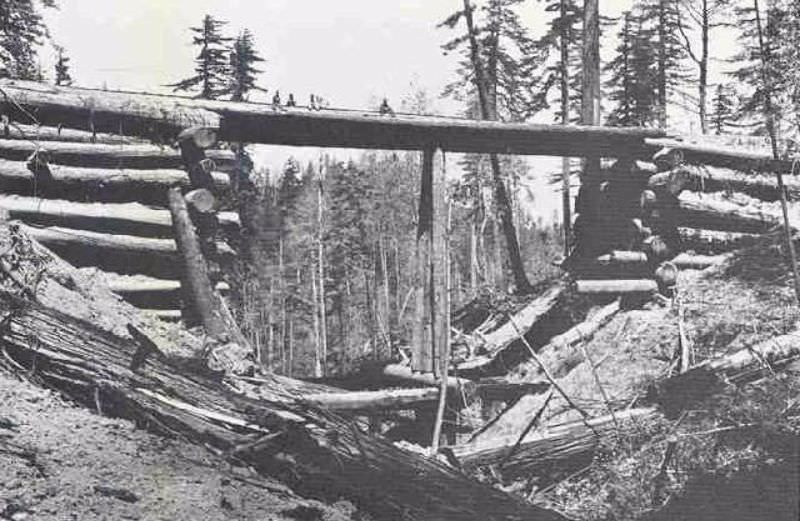 Homemade log bridge with men atop, showcasing height and log diameter.