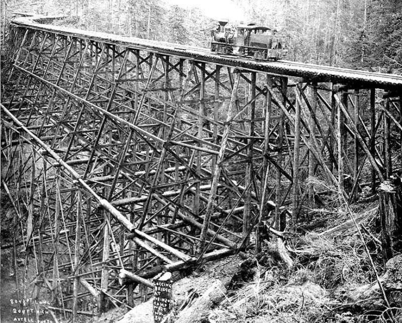 Trestle and logging railroad at Robinson’s camp, Clallam County, Washington.
