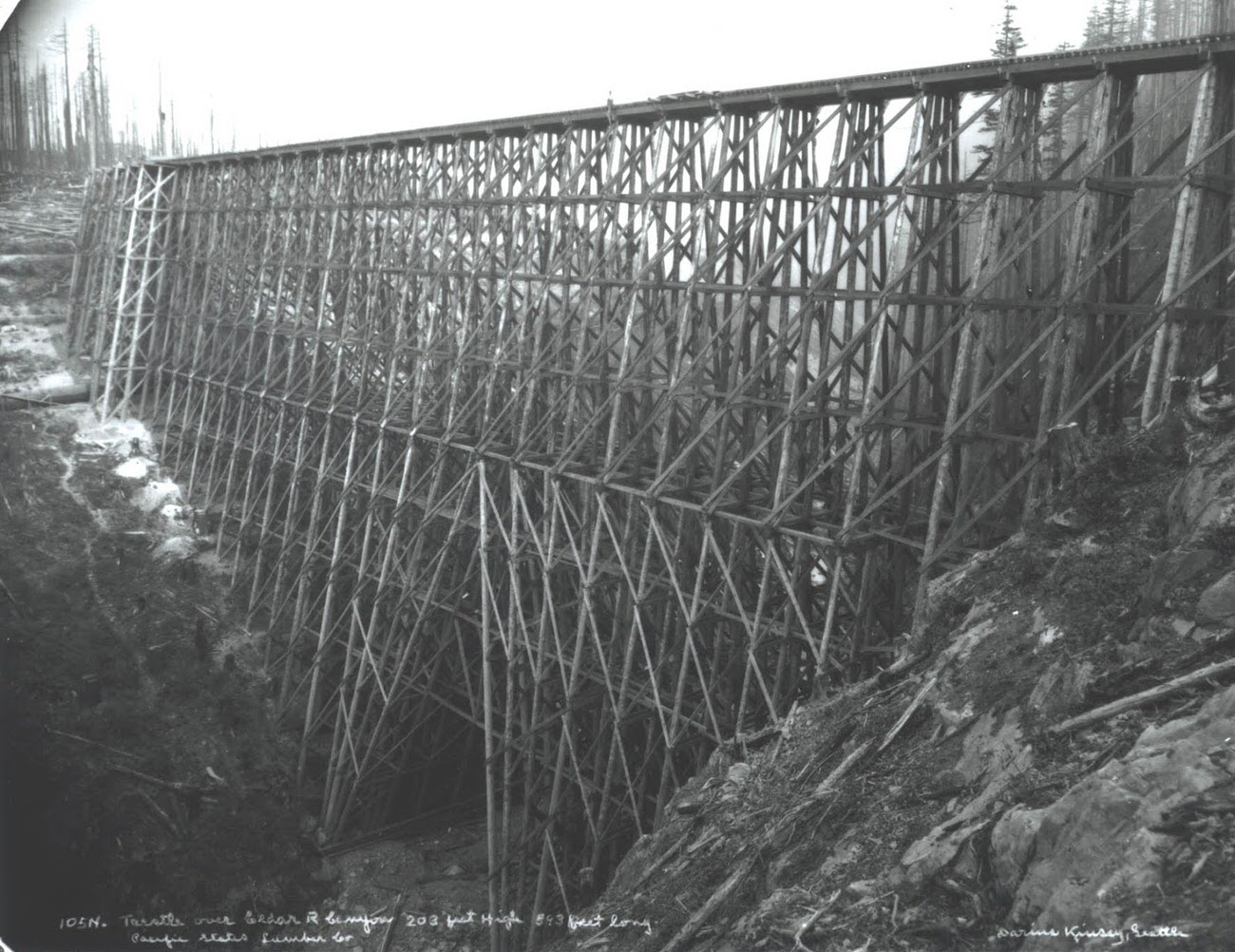 Cedar River logging trestle, 203 feet high & 843 feet long, Washington State, 1917.