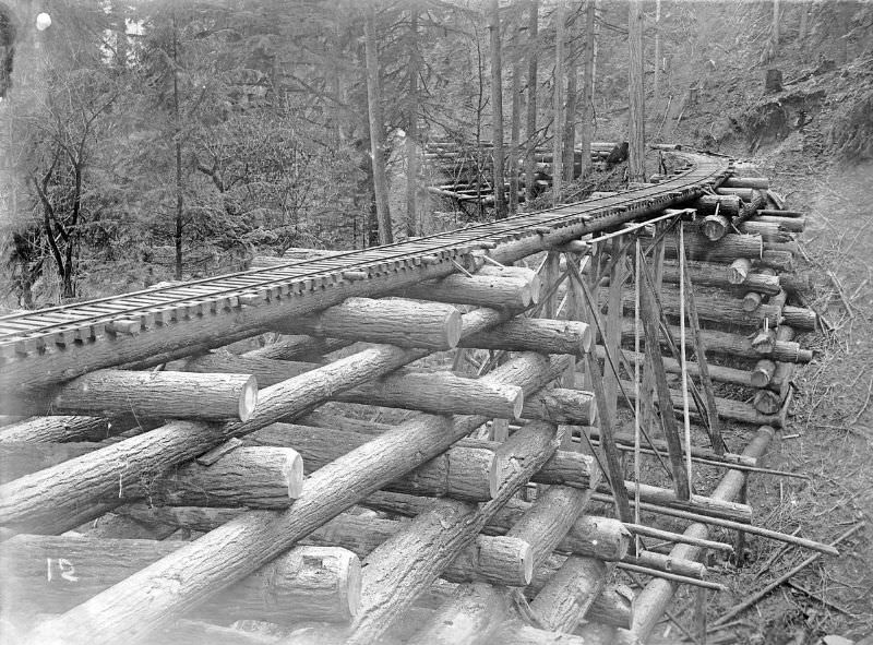 Log bridge (crib trestle) on Columbia and Nehalem Valley Railroad, Columbia County, Oregon.