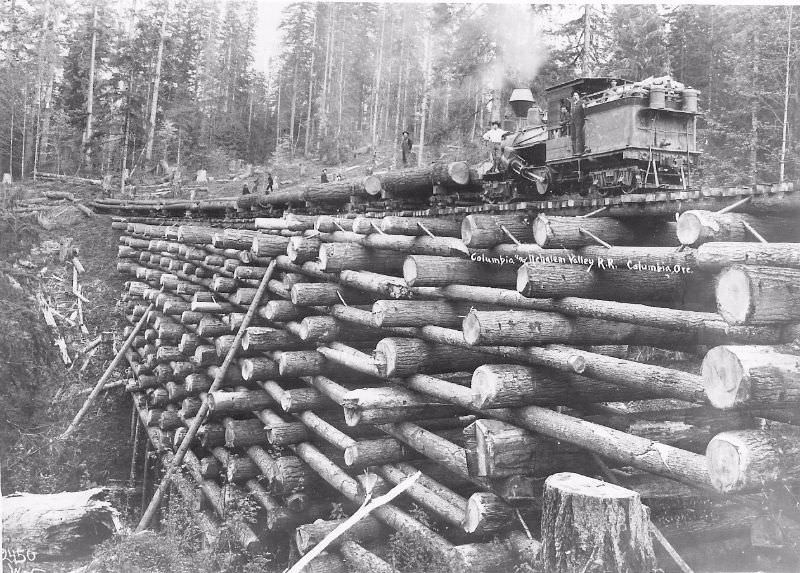 Crib trestle bridge of Columbia & Nehalem Valley Railroad at McBride Creek, circa 1905.