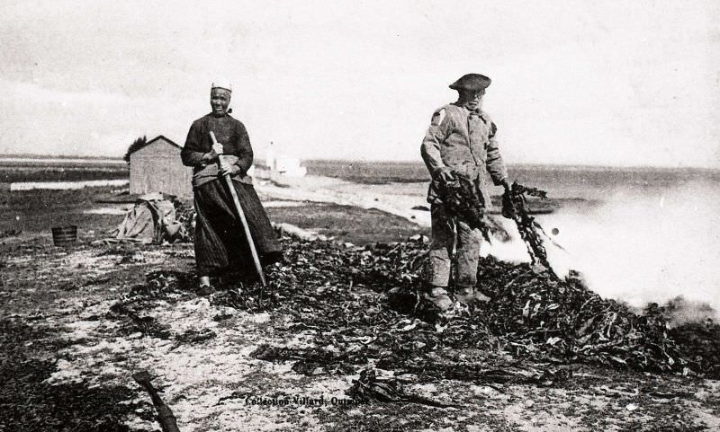 Seaweed burners in Langon, Loctudy.