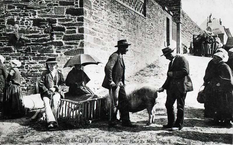 Pig market in Morlaix.