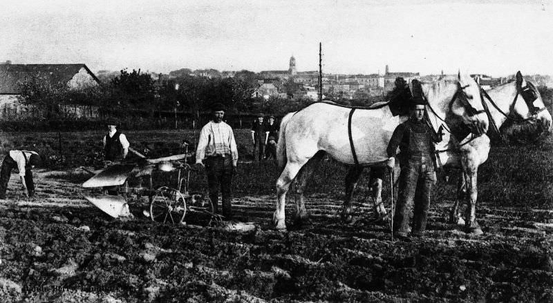 Practical school of agriculture in Rennes.