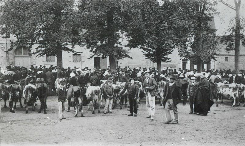 Market scene in Guingamp.