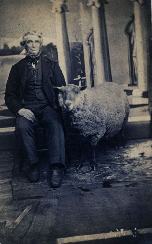 A man sits in a chair next to what may be his prize sheep