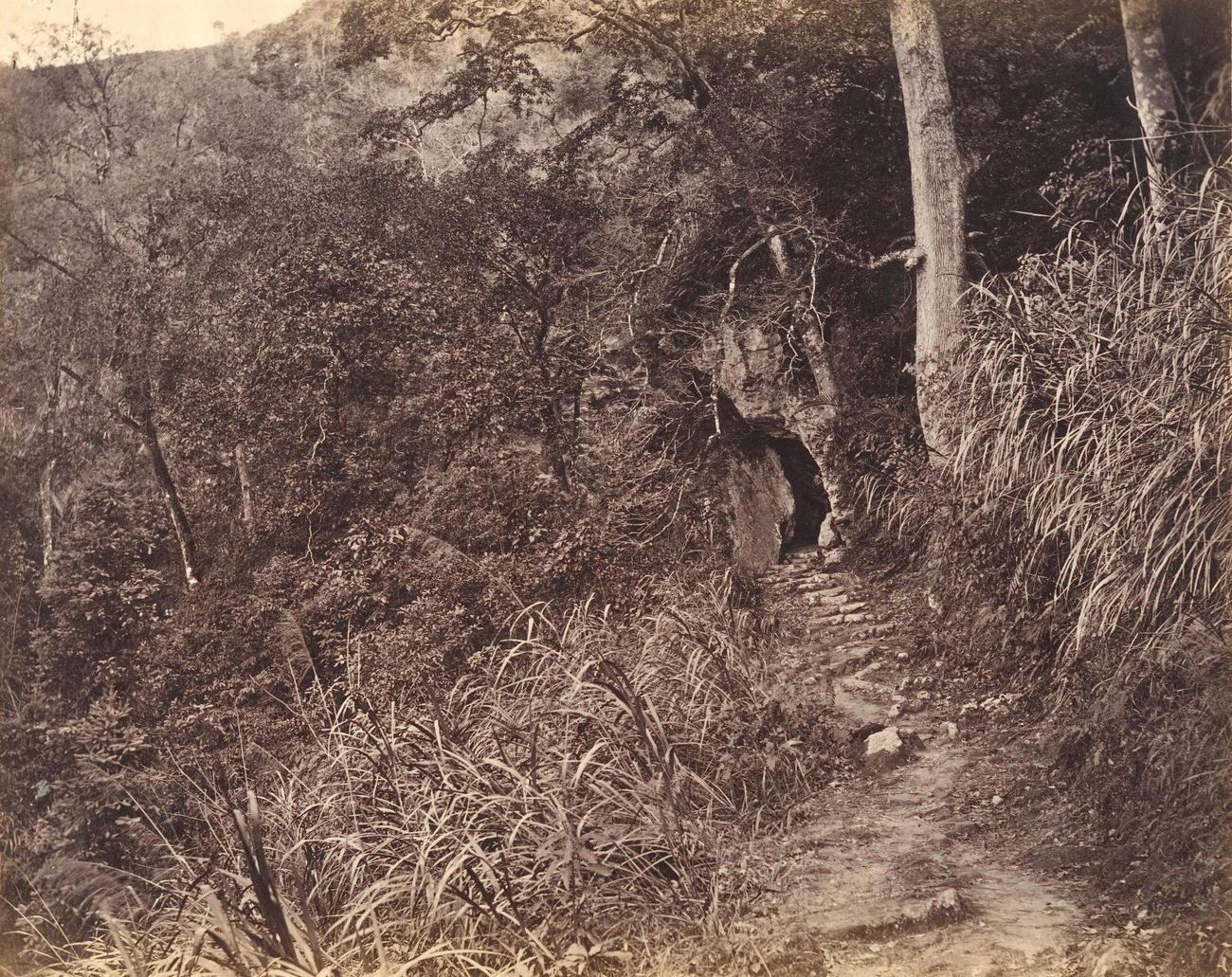 Left Road up to Yuen Foo Monastery, 1869