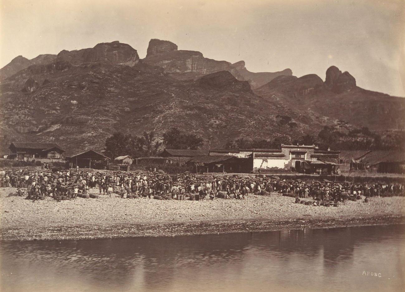 Duck Market, 1869