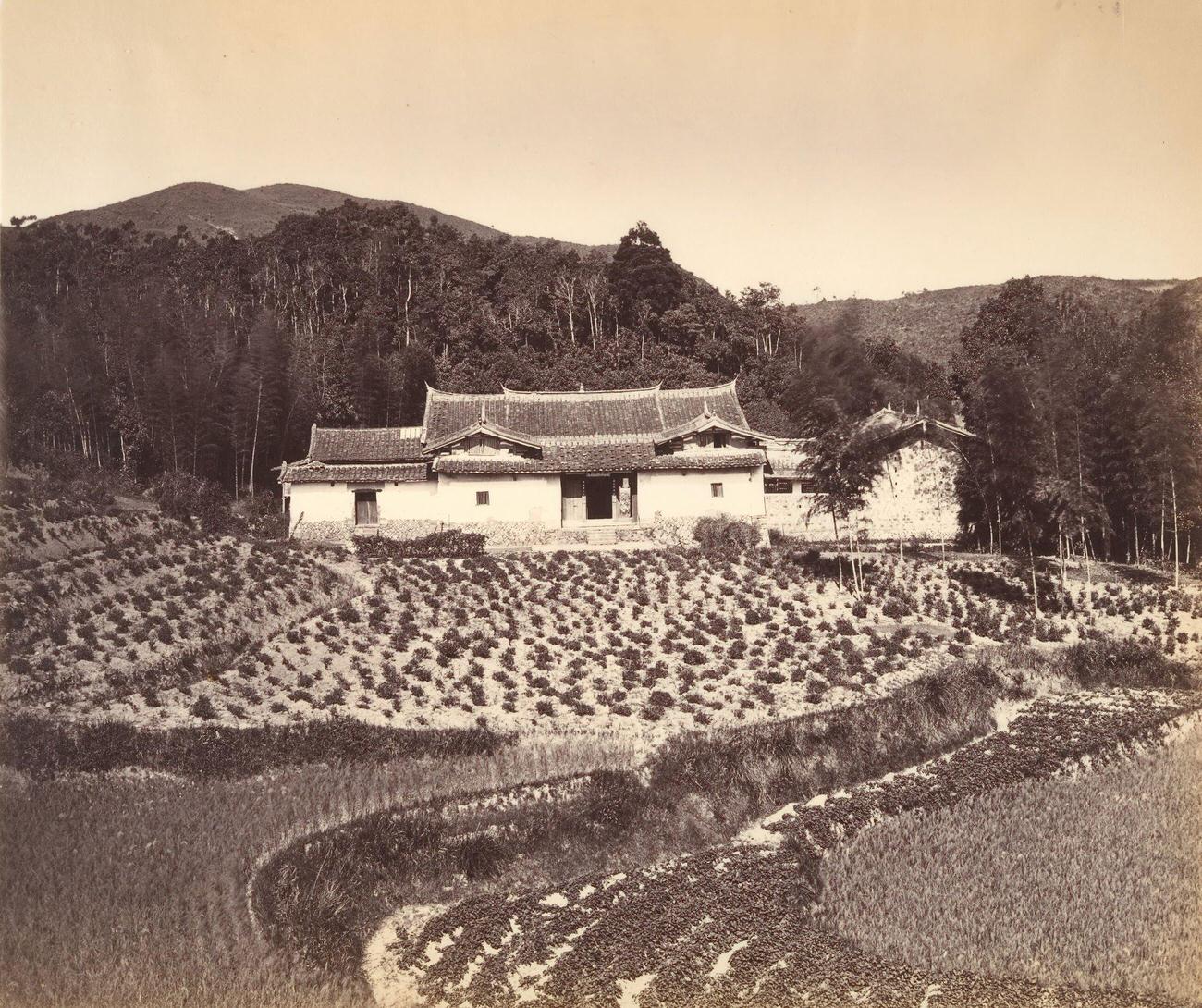 Teafield & Josshouse at Peling, 1869