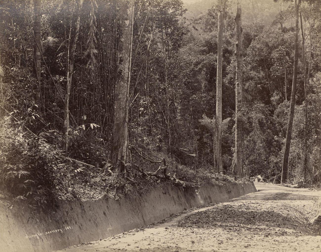 Malay Peninsula, 1870s
