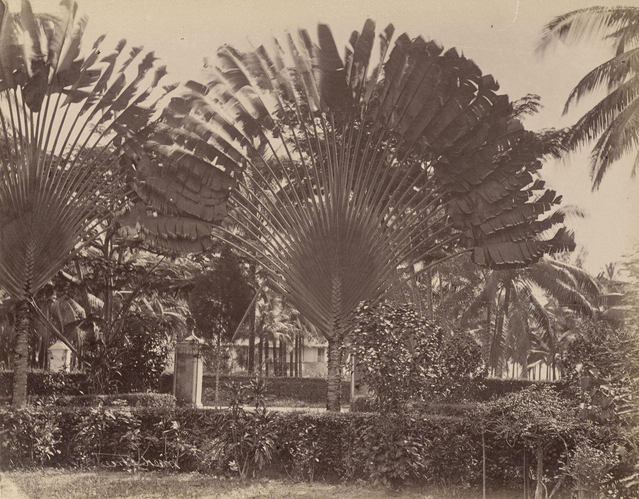 Malay, Malaysia, 1870s