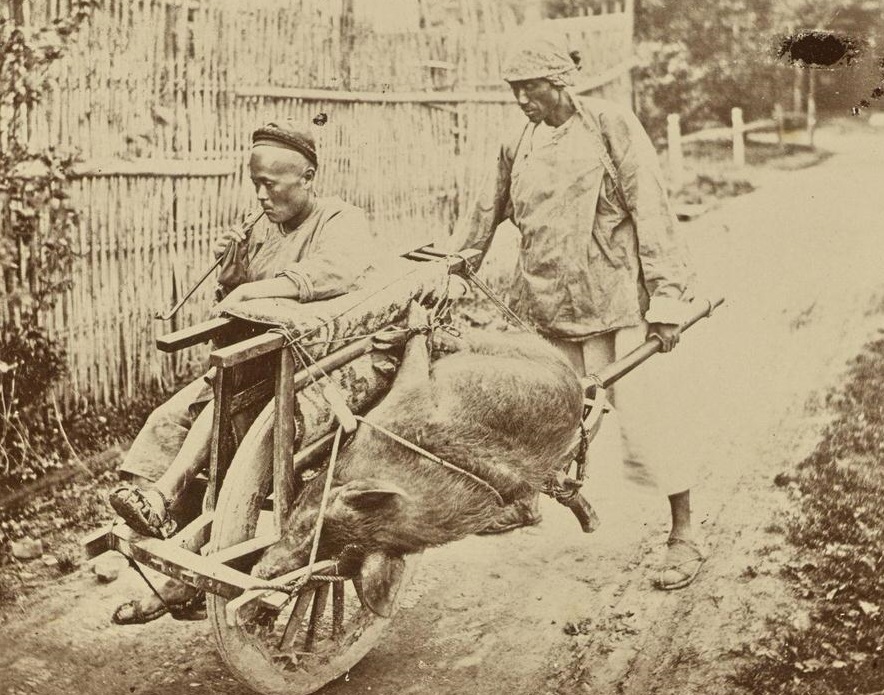 Shanghai Omnibus, 1870