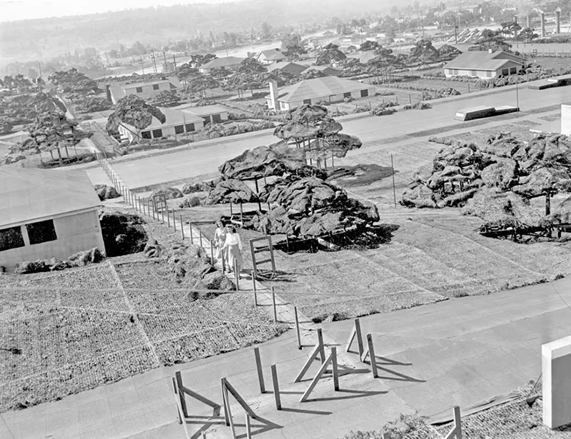 Joyce Howe and Susan Heidreich walking over camouflaged Boeing Plant 2.