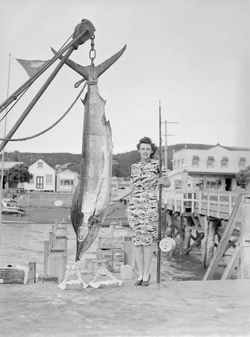 Spearfish and two fish jaws, 1940s.