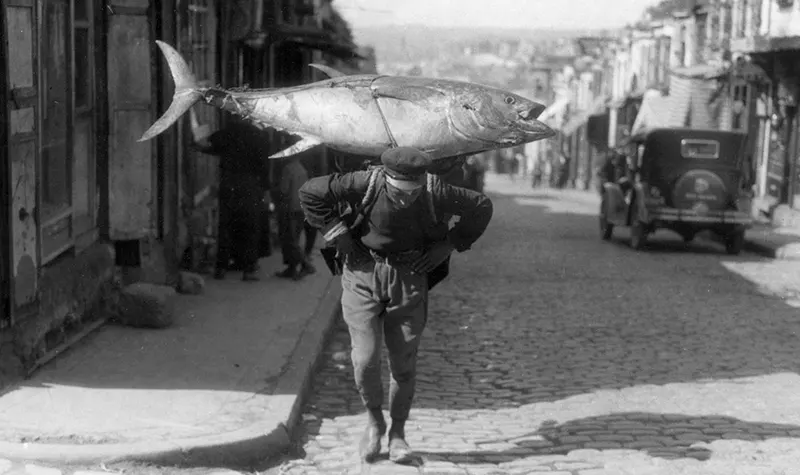 Fisherman, Istanbul, 1933.