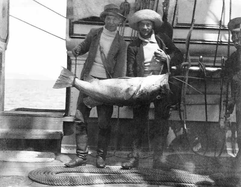 Two crew with large fish, HMS Penguin, 1900s.