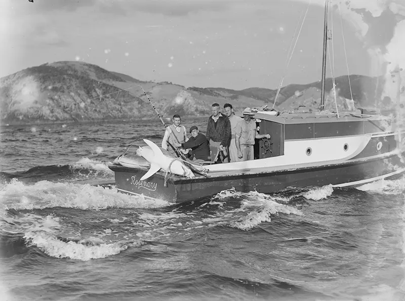 "Rosemary" boat with large sport fish, 1939.