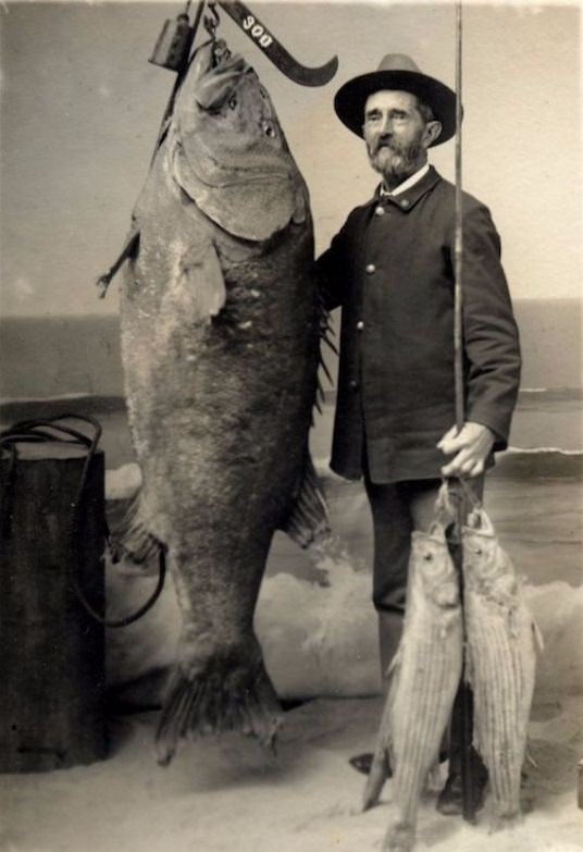 Hooked on History: Fishermen and Their Impressive Catches in Historical Photos