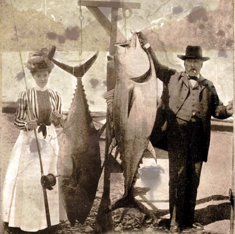 Hooked on History: Fishermen and Their Impressive Catches in Historical Photos