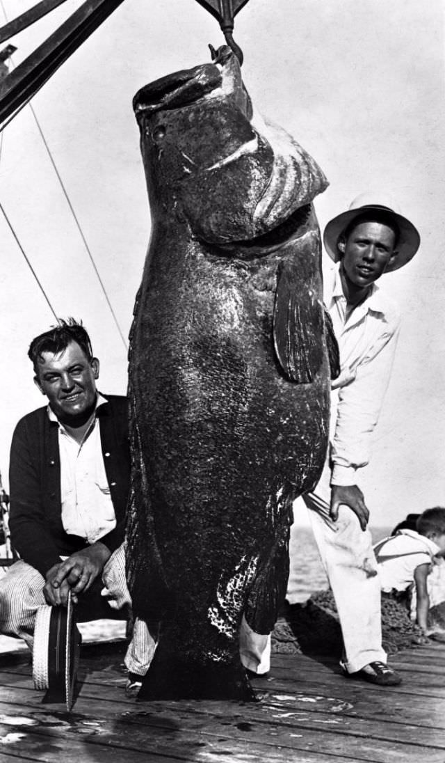 Hooked on History: Fishermen and Their Impressive Catches in Historical Photos