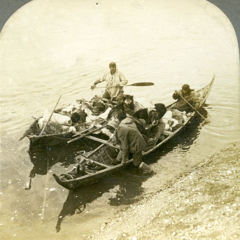 Malamut Indians moving camp in Alaska.