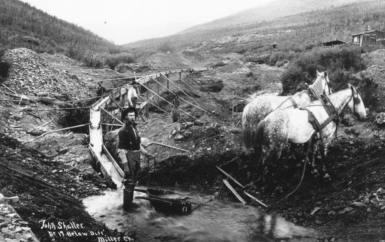 Gold prospectors panning for alluvial gold below Disc' Miller Creek in the Klondike, Canada, 1895.