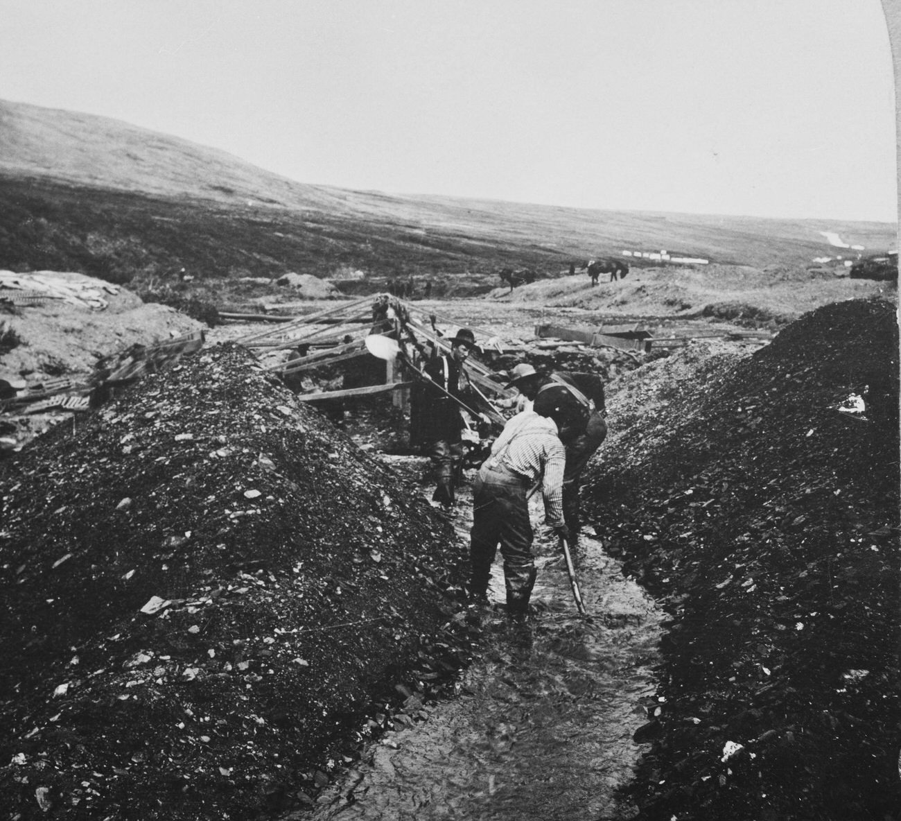 Prospectors digging in Anvil Creek near Nome, Alaska, during the Klondike Gold Rush, circa 1900.