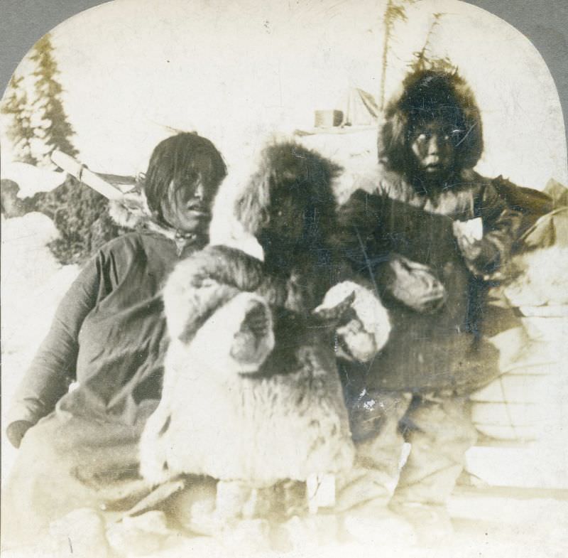 A group of Malamuts in Allenkaket, Alaska.