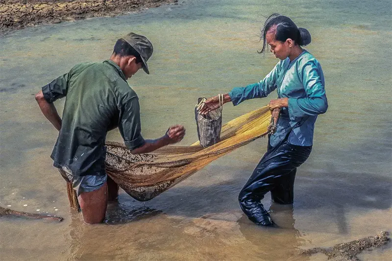 Fish gleaning from drying rain ponds, Binh Duc airstrip, My Tho, 1969.