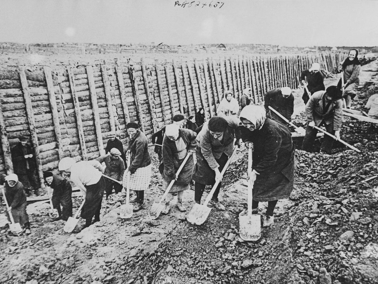 Women Digging Defenses in Leningrad, October 25, 1941