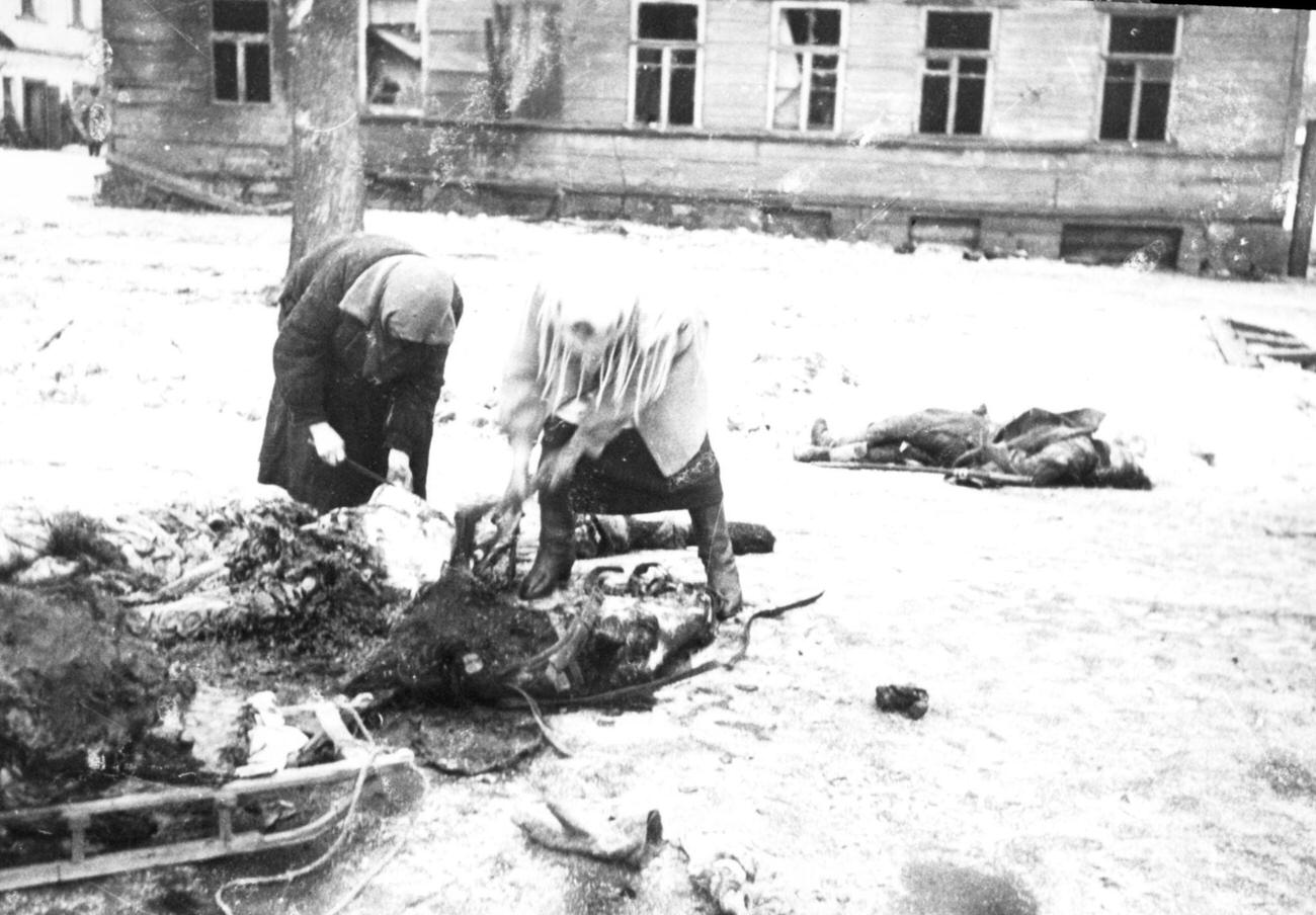 Horse Used for Food, Leningrad Blockade, 1943