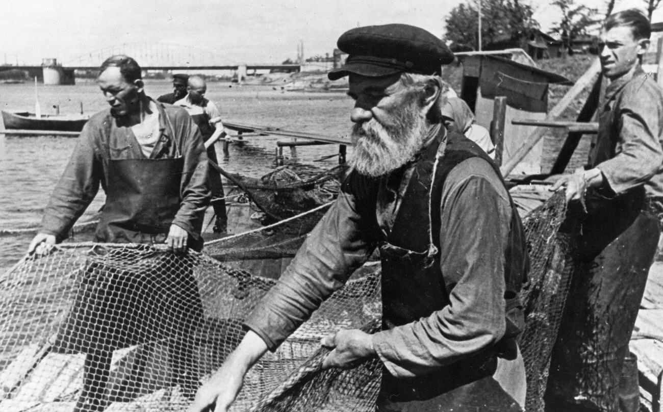 Fishermen Pulling Seine on Neva River, Leningrad, Early 1950s