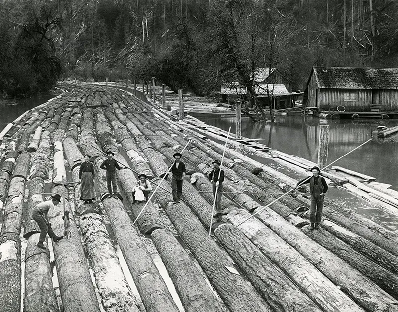 Scene of transporting logs as giant rafts.