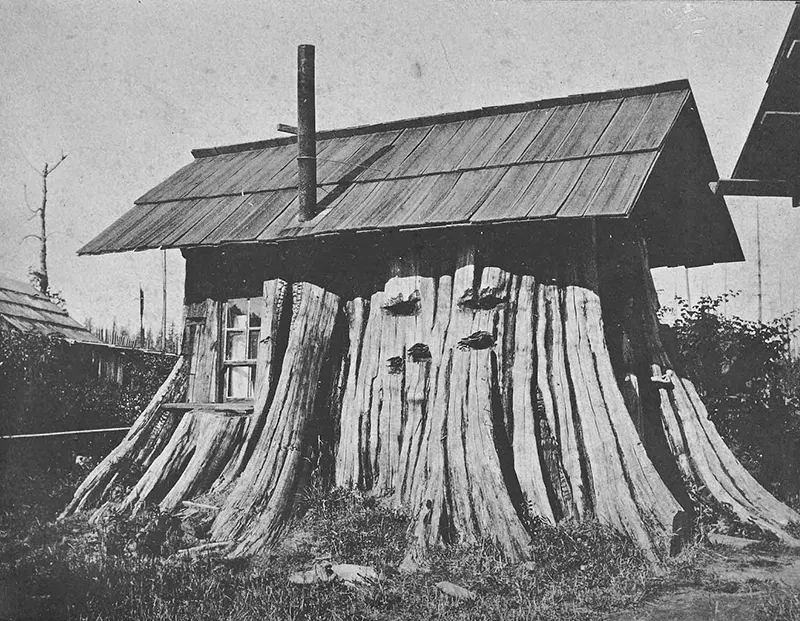 A Look Inside the Stunning Tree Stump House of the Late 19th and Early 20th Century