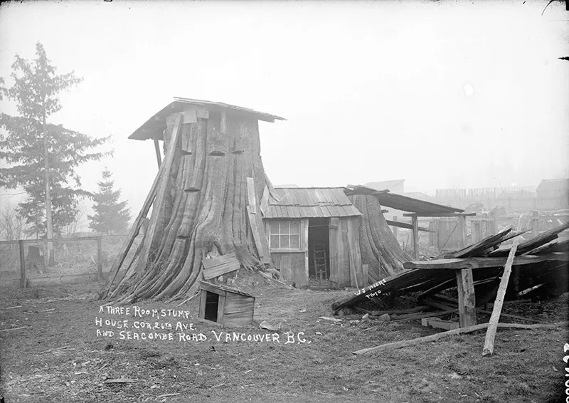 A Look Inside the Stunning Tree Stump House of the Late 19th and Early 20th Century