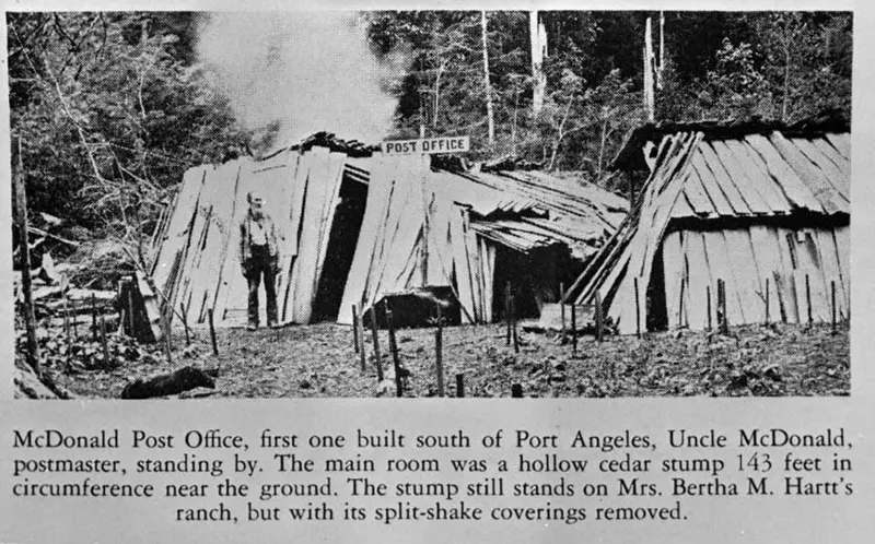 A Look Inside the Stunning Tree Stump House of the Late 19th and Early 20th Century