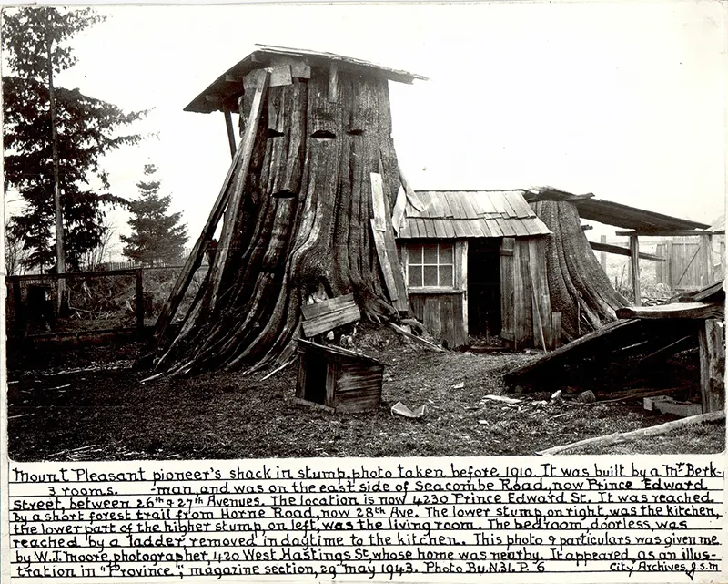 A Look Inside the Stunning Tree Stump House of the Late 19th and Early 20th Century