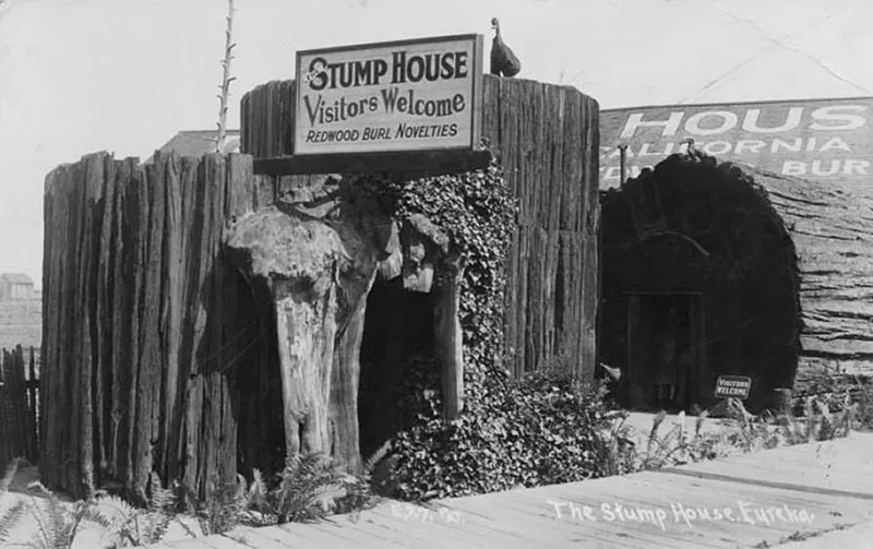 A Look Inside the Stunning Tree Stump House of the Late 19th and Early 20th Century