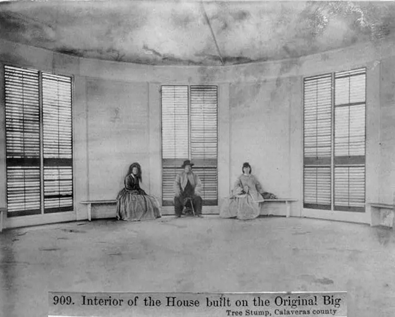 Interior of house built on Original Big Tree Stump, Calaveras County, 1866.