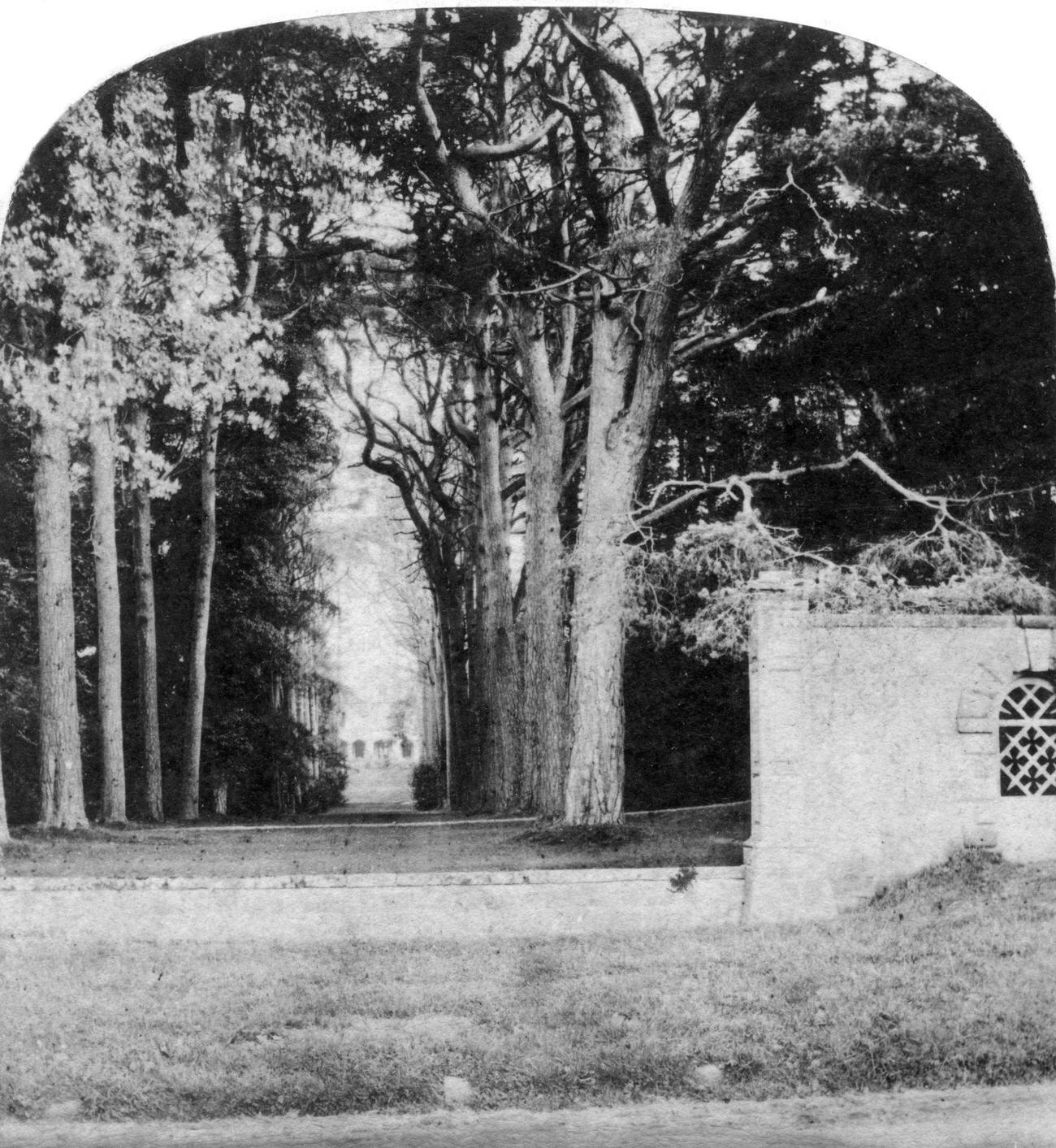 The Avenue at Guy's Cliff in Warwick, 1900s