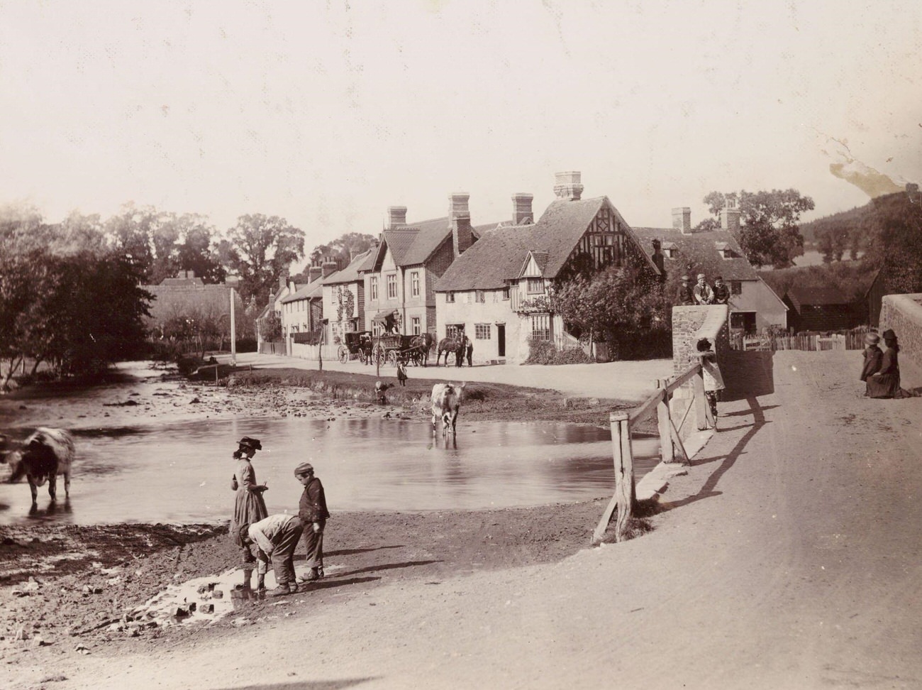 English village scene with cows crossing a pond, 1890.